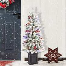 4ft Pre-Lit Flocked Christmas Porch Tree with LED Lights