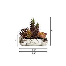 5-in Succulent Garden in Haunted - Set of 2 by Nearly Natural