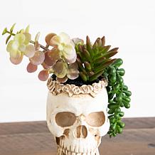 5.5-in and 9-in Succulent Garden - Set of 2 by Nearly Natural