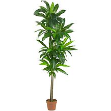 best dirt for indoor plants Craft Aroid Potting Mix: Best for Indoor Plants – Grow Queen