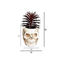 6-in See No Evil Skull Decor - Set of 3 by Nearly Natural