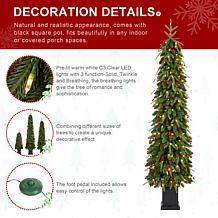 6' Pre-lit Green Artificial Christmas Porch Tree w/ Warm White Lights