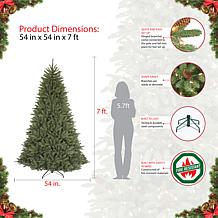 7' Franklin Fir Artificial Unlit Christmas Tree