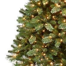 7.5' Pre-Lit Teton Pine Artificial Christmas Tree - 600 Clear Lights