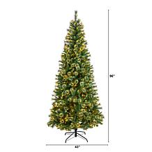 8’ Wisconsin Slim Snow Tip Pine  Christmas Tree