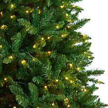 9’ Green Valley Fir  Christmas Tree with 800 Clear LED
