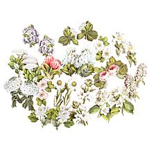 Anna Griffin® Botanical Engraving Stickers - Set of 120