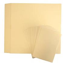 Anna Griffin® Champagne Matte Foil Card Stock - 24 Sheets