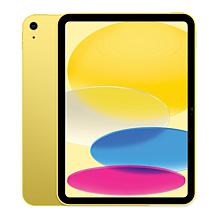 Apple iPad 11" 11th Gen 256GB Wi-Fi + Cellular Bundle
