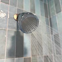 AquaGlo by Aspen Showerhead with 2 Filters