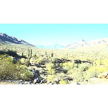 "As Is" Bell + Howell 4 Pairs Polarized Night and Day TacGlasses