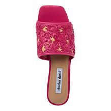 "As Is" Charles by Charles David Raffi Woven Slide Sandal