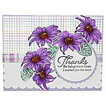 "As Is" Diamond Press Beautiful Day Stamp and Die Kit