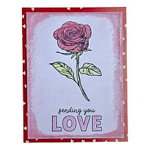 "As Is" Diamond Press Dual-Tip Acrylic Markers - Set of 12