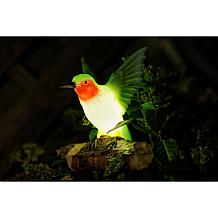 "As Is" GreanBase Solar Bird Stakes with Sounds - Set of 2