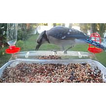"As Is" Improvements Solar Powered Smart Birdfeeder With Camera