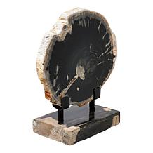 "As Is" KALIFANO Petrified Wood Slice with Display Stand