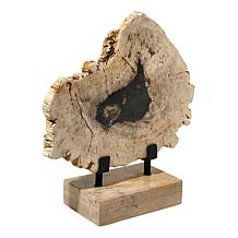 "As Is" KALIFANO Petrified Wood Slice with Display Stand
