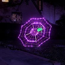 "As Is" Mr. Halloween 48" Purple/Green Animated LED Spider Web