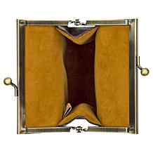 "As Is" Patricia Nash ABBR Glasses Case