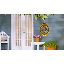 "As Is" Plow and Hearth 3D Illusion Wind Spinner