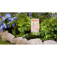 "As Is" Plow and Hearth Mini Spring and Summer Garden Flags - Set of 6