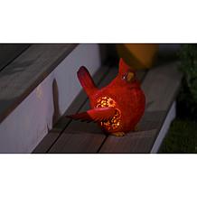 "As Is" Plow and Hearth Solar Resin Bird Garden Decor