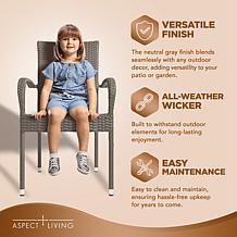 Aspect Living Morgan Outdoor Wicker Chair 2-Pack - Weathered Gray