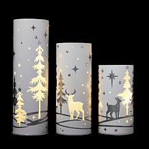 august & leo Set of 3 Holiday Lanterns with LED Fairy Lights