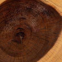 bali and pari Alara Wood Side Table