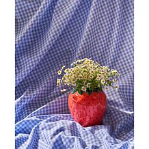 Ban.do Ceramic Vase - Strawberry Fields