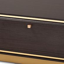 Baxton Studio Cormac Mid-Century Modern Metal 2-Drawer Coffee Table