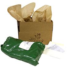 Bearded Iris Cherry Blossom Song Set of 3 Roots