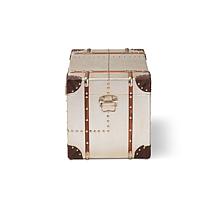 Bechet Metal Storage Trunk