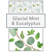 Beekman 1802 300-count Goat Milk Wipes - Mint & Eucalyptus