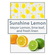 Beekman 1802 4-Piece Sunshine Lemon Bath & Body Set