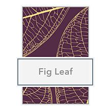 Beekman 1802 Fig Leaf Goat Milk Bar Soap 4-piece Set