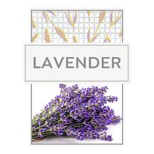 Beekman 1802 G.O.A.T 2-Piece Body Care Gift Set - Lavender