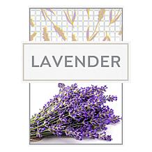 Beekman 1802 Goat Milk 5-Piece Lavender Bath & Body Assorted Set