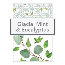 Beekman 1802 Goat Milk Glacial Mint & Eucalyptus Caddy Set