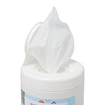 Beekman 1802 Happy Place 100-count Stainless Steel Cleaning Wipes