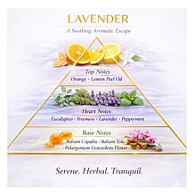 Beekman 1802 Happy Place Air Freshener Odor Eliminator Gel with 2 Jars