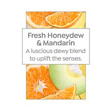 Beekman 1802 Milk Therapy Leave-in Hair Treatment - Auto-Ship®