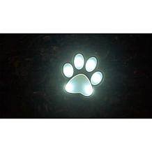 Bell + Howell Color-Changing and White Solar Paw Lights - 6-pack