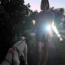 Bell + Howell Magnetic COB Pen Lights - Set of 4