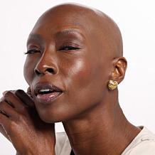 Bellezza Bronze Sparkle Textured Heart Stud Earrings