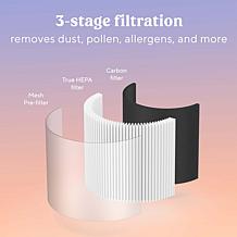 Bionaire 360 True HEPA Filter Replacement