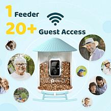BIRDFY AI Auto Capture Motion Detection Solar Powered Bird Feeder