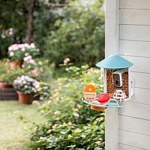 BIRDFY AI Auto Capture Motion Detection Solar Powered Bird Feeder