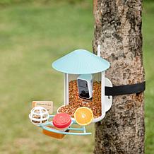 BIRDFY AI Auto Capture Motion Detection Solar Powered Bird Feeder